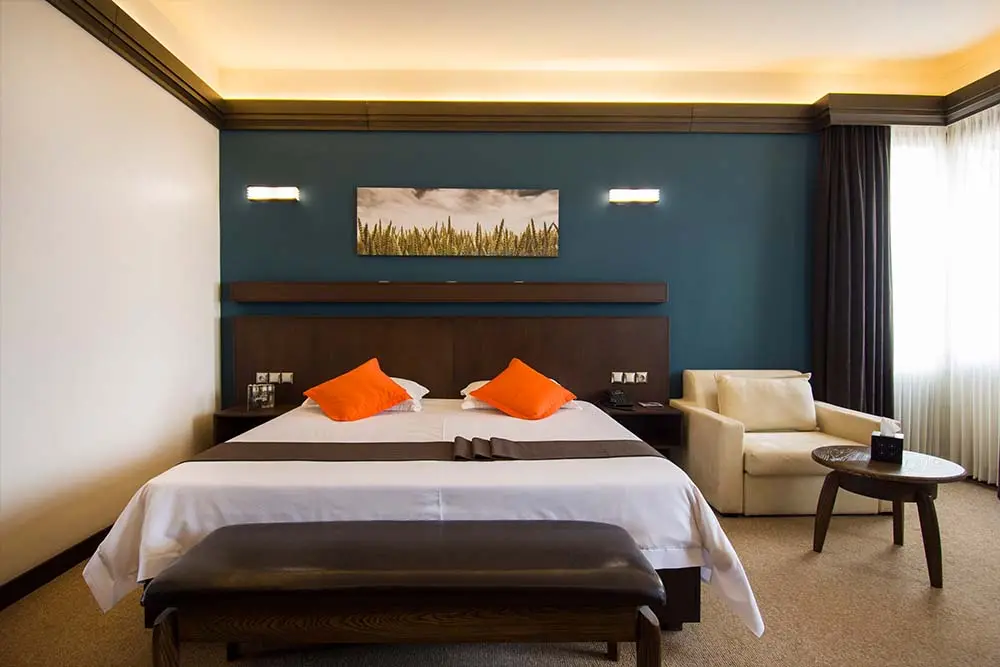 Escan Alvand Hotel suite with city view - premium accommodation for medical tourists